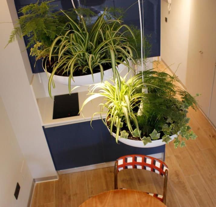 Apartamento Por Temporada Centro Diseno 마드리드 외부 사진